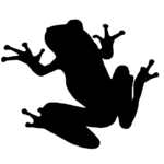 冬陽