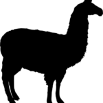 藍色羊駝