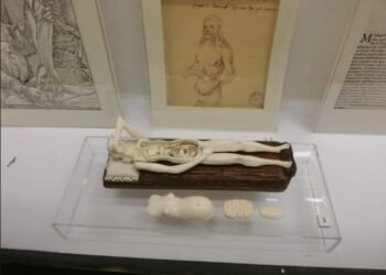 【解剖維納斯】一段關於解剖、神話與娛樂的醫學史