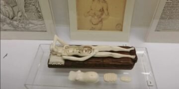 【解剖維納斯】一段關於解剖、神話與娛樂的醫學史