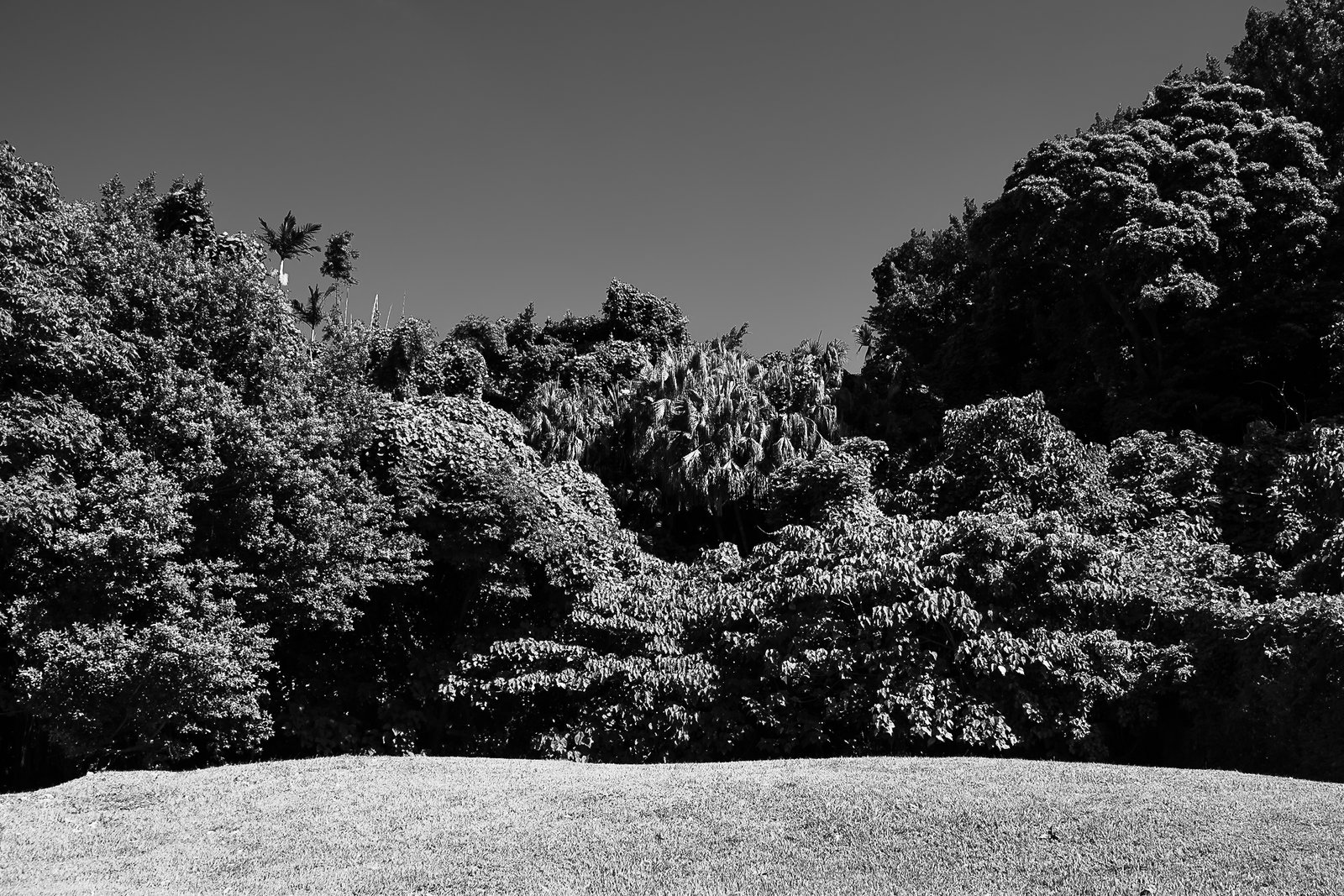 【2025白晝之夜特輯03】圓山：飲食男女